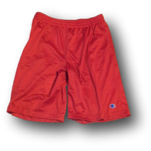 Mesh active shorts
